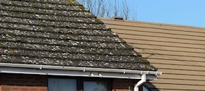 Gutter and roof cleaning in Gillingham and Chatham